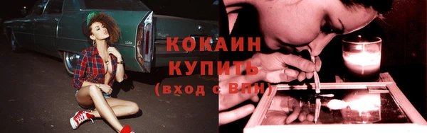 соль ск Алексеевка