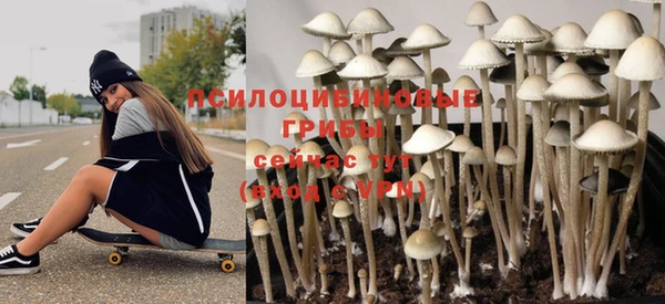бошки Абаза