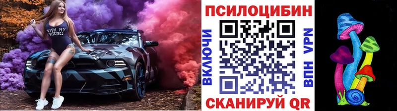 купить наркотик Алапаевск Галлюциногенные грибы Psilocybine cubensis